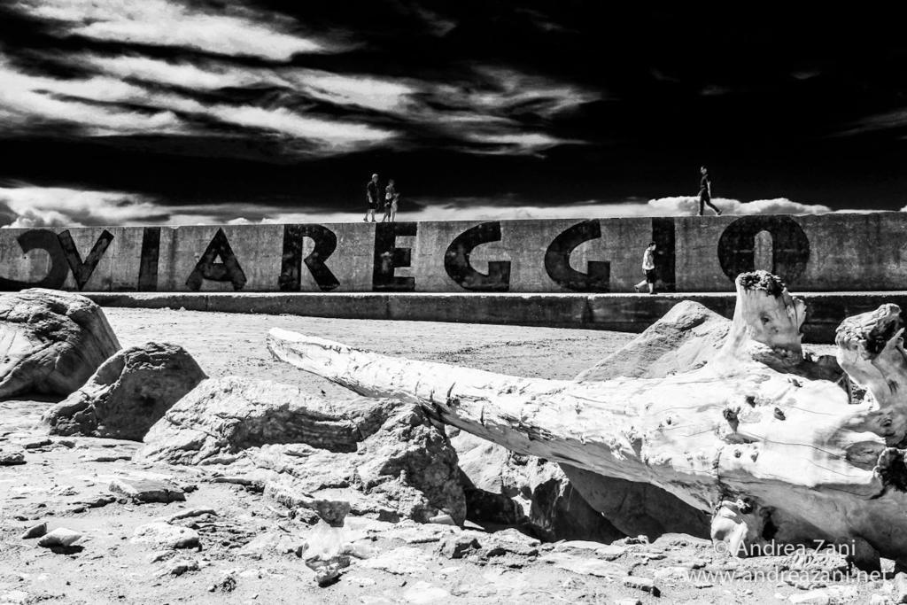 Hotel Sol&Mare Viareggio Zewnętrze zdjęcie